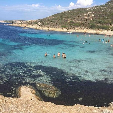 Exceptionnelle Vue Mer Calvi - Piscine - T2 Экстерьер фото