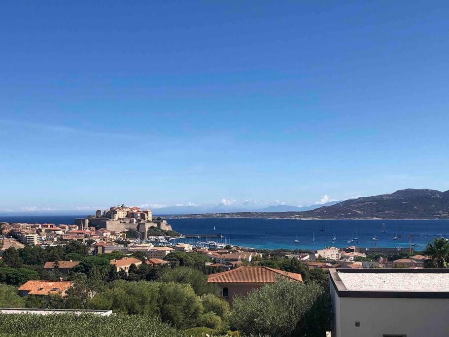 Exceptionnelle Vue Mer Calvi - Piscine - T2 Экстерьер фото