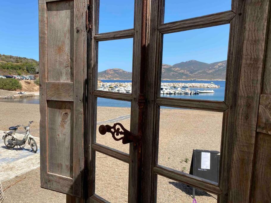 Exceptionnelle Vue Mer Calvi - Piscine - T2 Экстерьер фото
