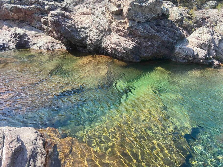 Exceptionnelle Vue Mer Calvi - Piscine - T2 Экстерьер фото