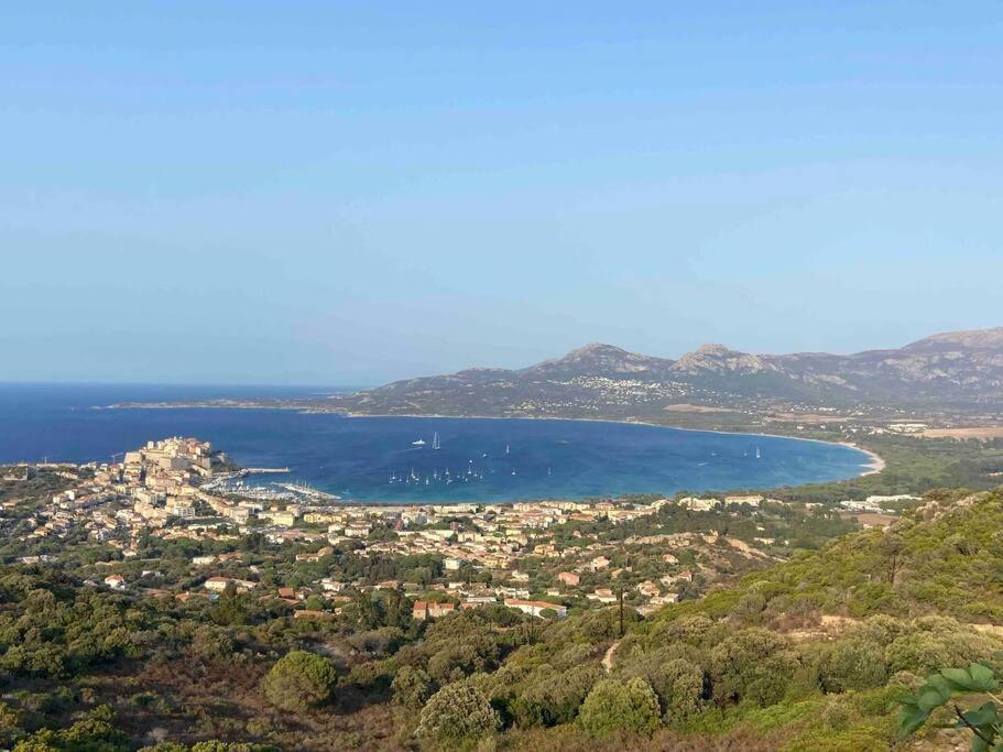 Exceptionnelle Vue Mer Calvi - Piscine - T2 Экстерьер фото